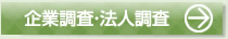 企業調査・法人調査詳細