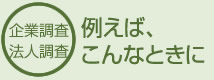 企業法人調査例