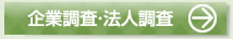 企業法人調査詳細