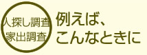 人探し調査例・家出調査例